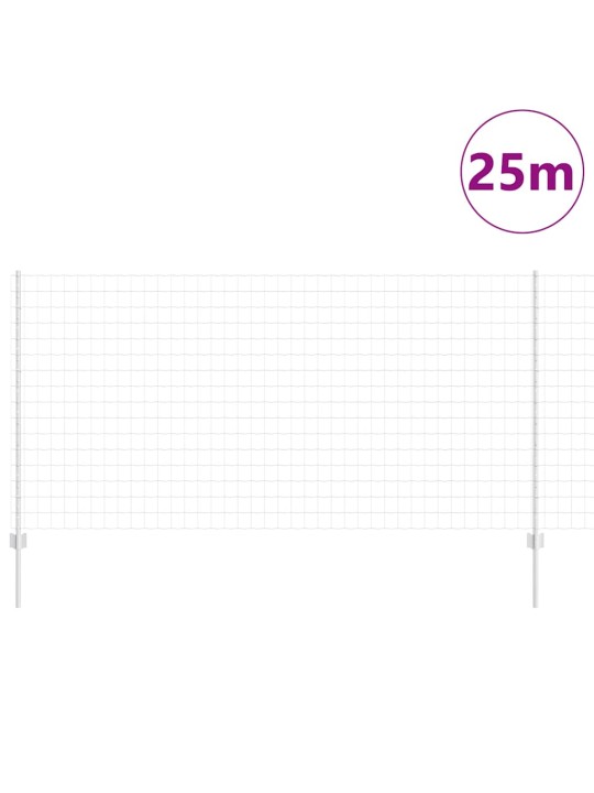 Aed koos postidega hõbedane 1.2 x 25 m teras