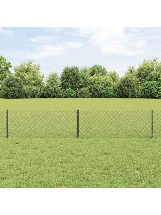 Aed koos postidega hall 0.4 x 25 m teras