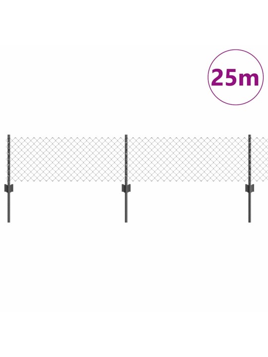 Aed koos postidega hall 0.4 x 25 m teras