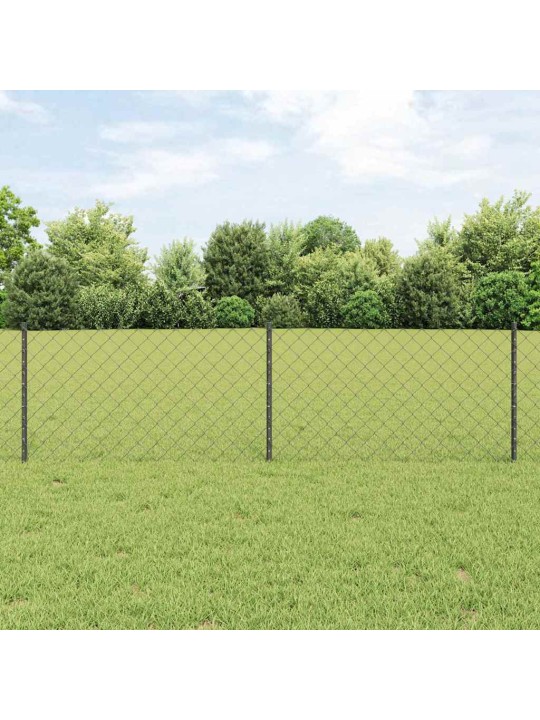 Aed koos postidega hall 0.6 x 25 m teras