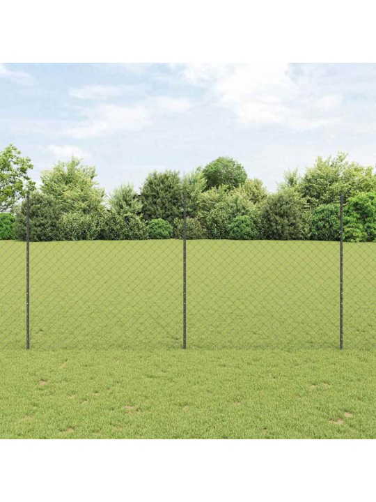 Aed koos postidega hall 1.5 x 25 m teras
