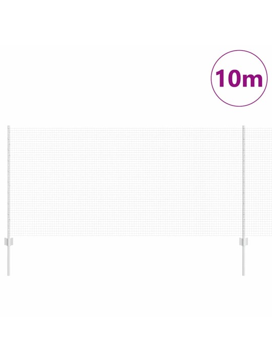 Aed koos postidega hõbedane 1 x 10 m teras