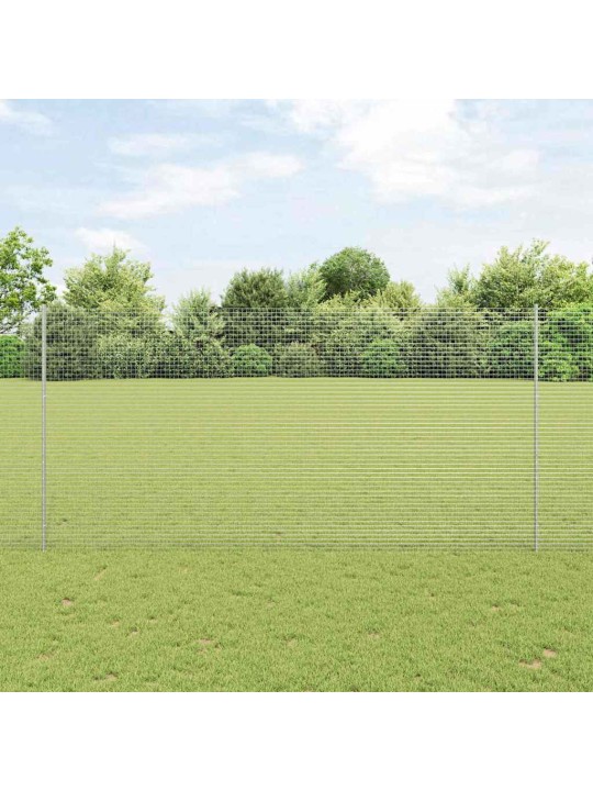 Aed koos postidega hõbedane 1.6 x 10 m teras