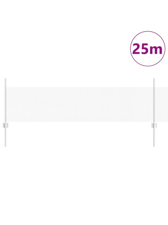 Aed koos postidega hõbedane 0.5 x 25 m teras
