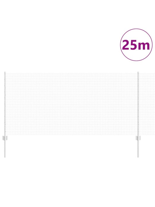 Aed koos postidega hõbedane 1 x 25 m teras