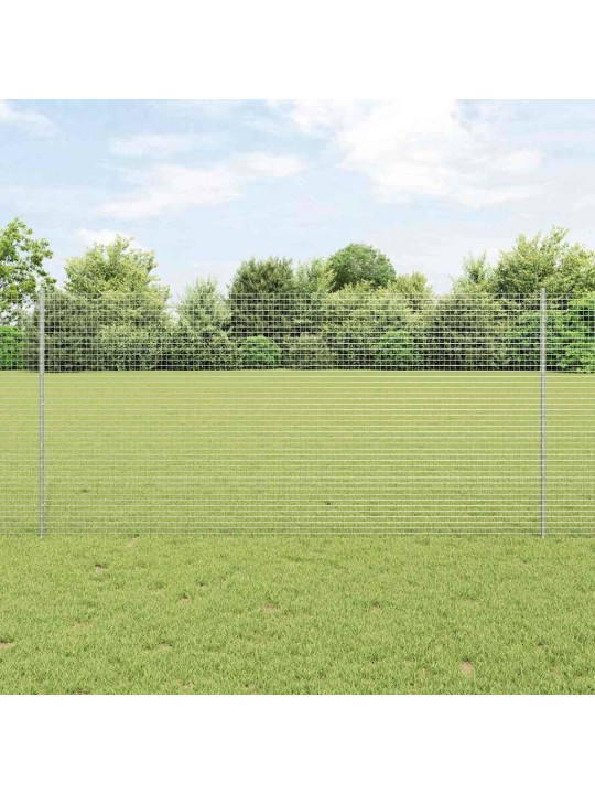 Aed koos postidega hõbedane 1.2 x 25 m teras