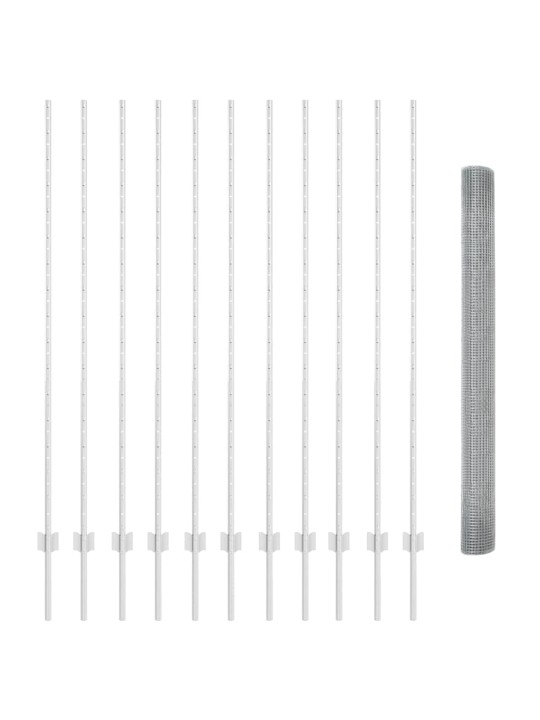 Aed koos postidega hõbedane 1.6 x 25 m teras