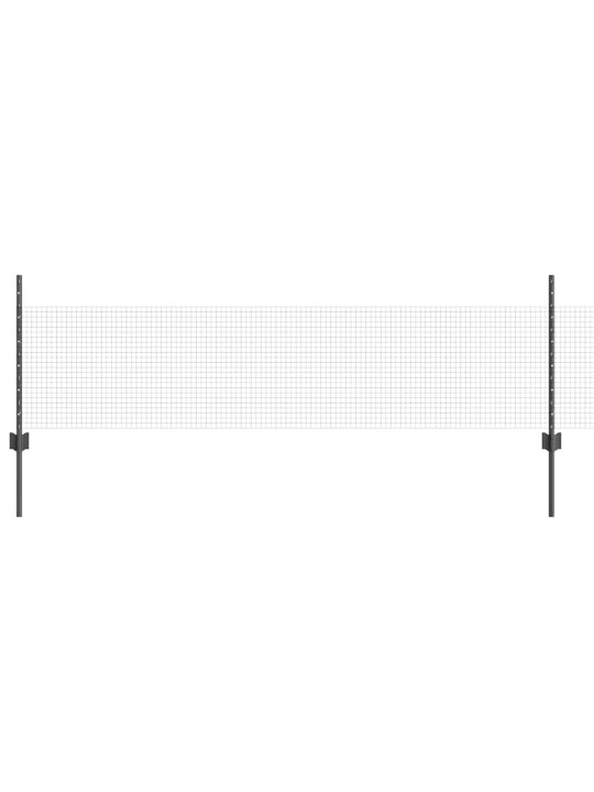 Aed koos postidega hall 0.5 x 10 m teras