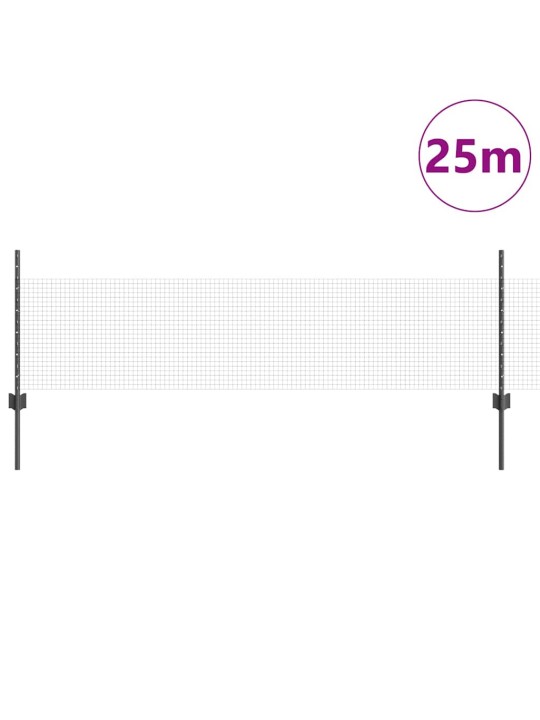 Aed koos postidega hall 0.5 x 25 m teras