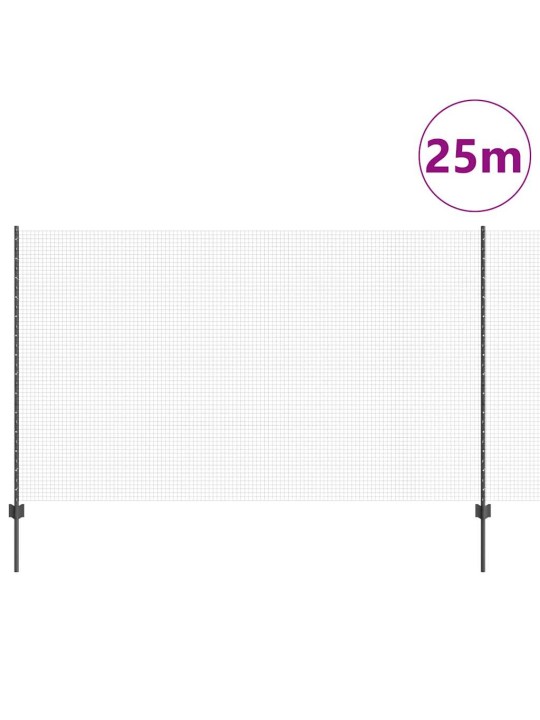 Aed koos postidega hall 1.4 x 25 m teras
