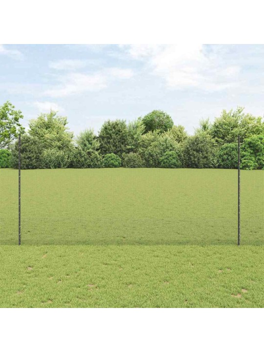 Aed koos postidega hall 1.5 x 25 m teras