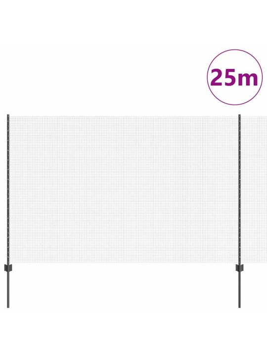 Aed koos postidega hall 1.5 x 25 m teras
