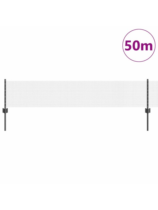 Aed koos postidega hall 0.4 x 50 m teras