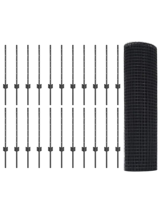 Aed koos postidega hall 0.5 x 50 m teras