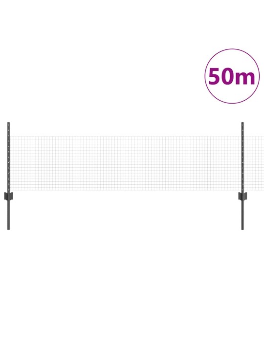 Aed koos postidega hall 0.5 x 50 m teras