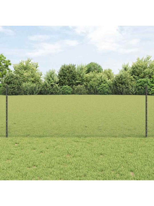 Aed koos postidega hall 0.8 x 50 m teras