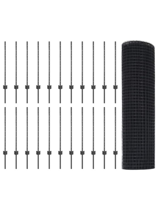 Aed koos postidega hall 0.8 x 50 m teras