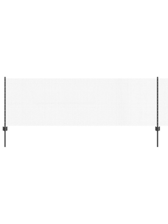 Aed koos postidega hall 0.8 x 50 m teras