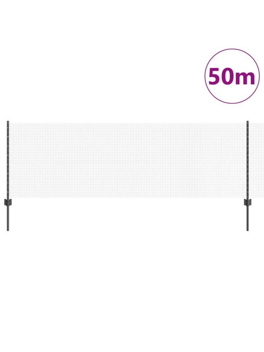 Aed koos postidega hall 0.8 x 50 m teras