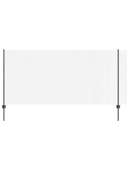 Aed koos postidega hall 1.2 x 50 m teras