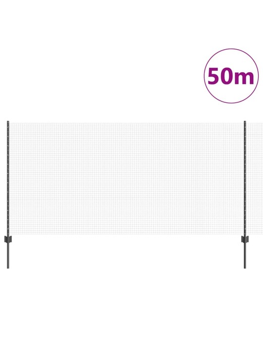 Aed koos postidega hall 1.2 x 50 m teras
