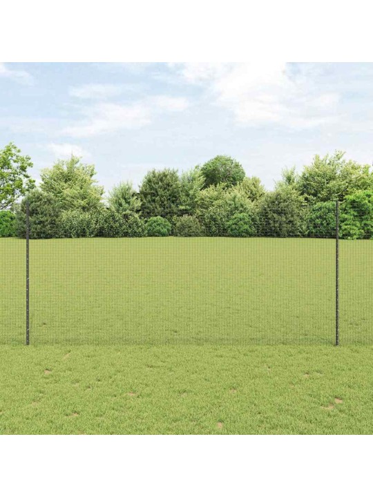 Aed koos postidega hall 1.4 x 50 m teras