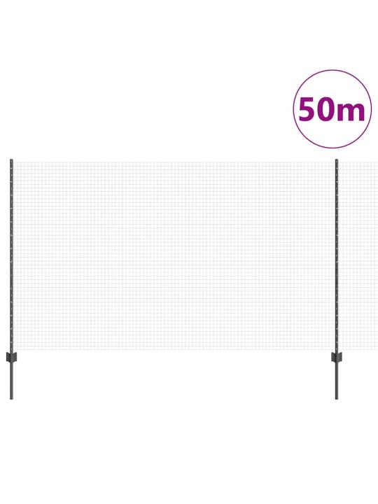 Aed koos postidega hall 1.4 x 50 m teras