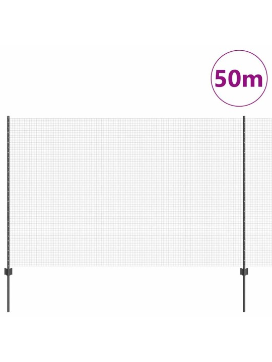 Aed koos postidega hall 1.5 x 50 m teras