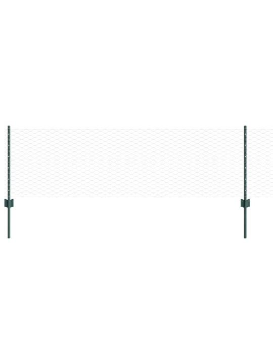 Aed koos postidega roheline 0.6 x 10 m teras