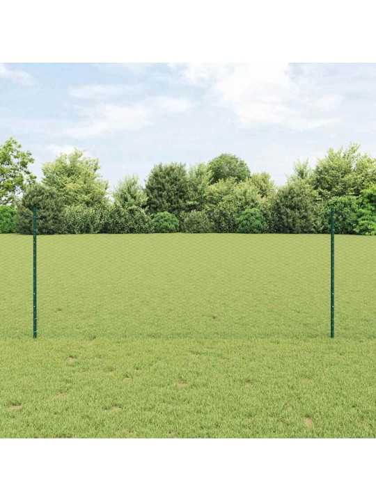 Aed koos postidega roheline 1 x 25 m teras