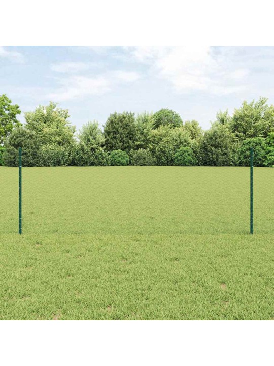 Aed koos postidega roheline 0.8 x 50 m teras