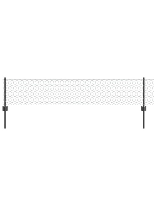 Aed koos postidega hall 0.4 x 10 m teras