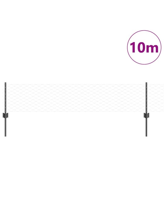 Aed koos postidega hall 0.4 x 10 m teras