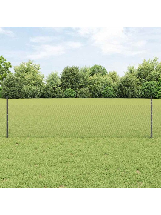 Aed koos postidega hall 0.5 x 10 m teras