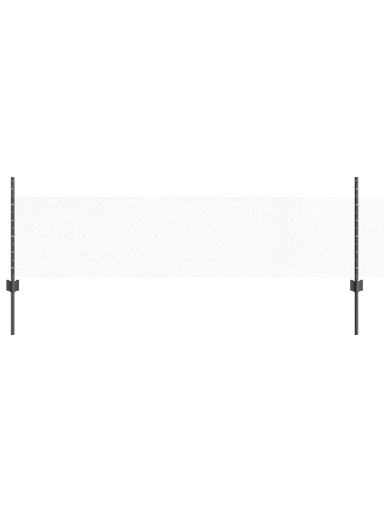 Aed koos postidega hall 0.5 x 10 m teras
