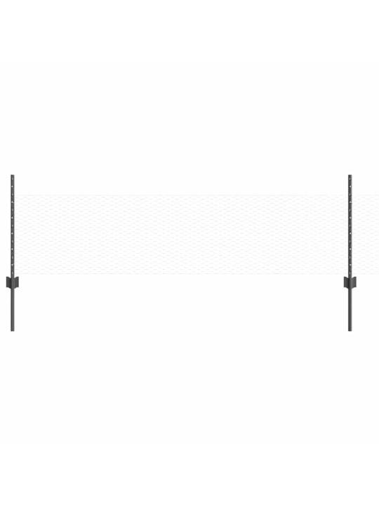 Aed koos postidega hall 0.5 x 10 m teras
