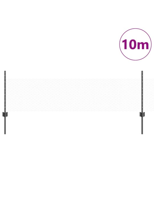 Aed koos postidega hall 0.5 x 10 m teras