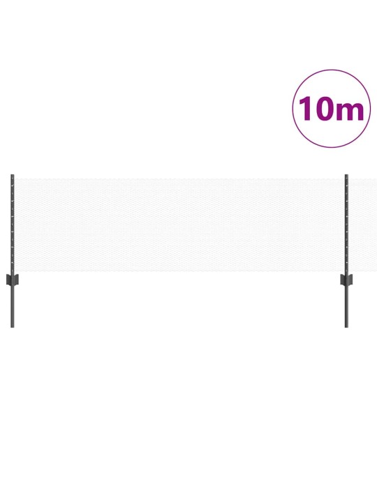 Aed koos postidega hall 0.6 x 10 m teras