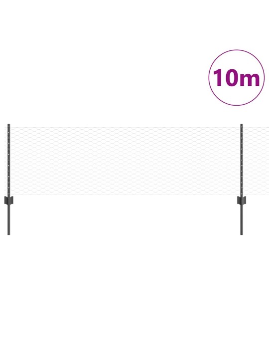 Aed koos postidega hall 0.6 x 10 m teras