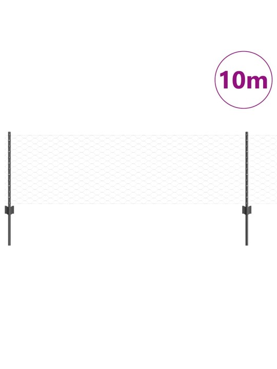 Aed koos postidega hall 0.6 x 10 m teras
