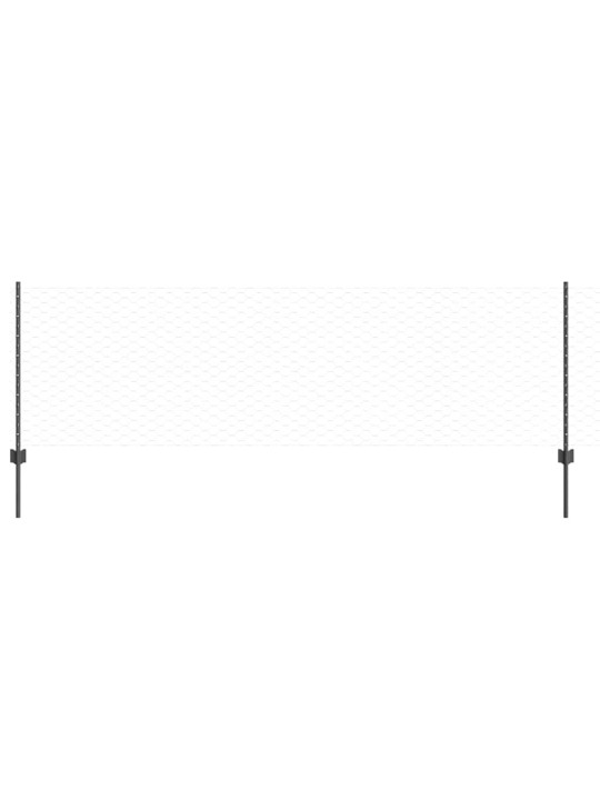Aed koos postidega hall 0.8 x 10 m teras