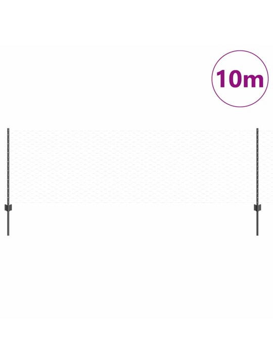 Aed koos postidega hall 0.8 x 10 m teras