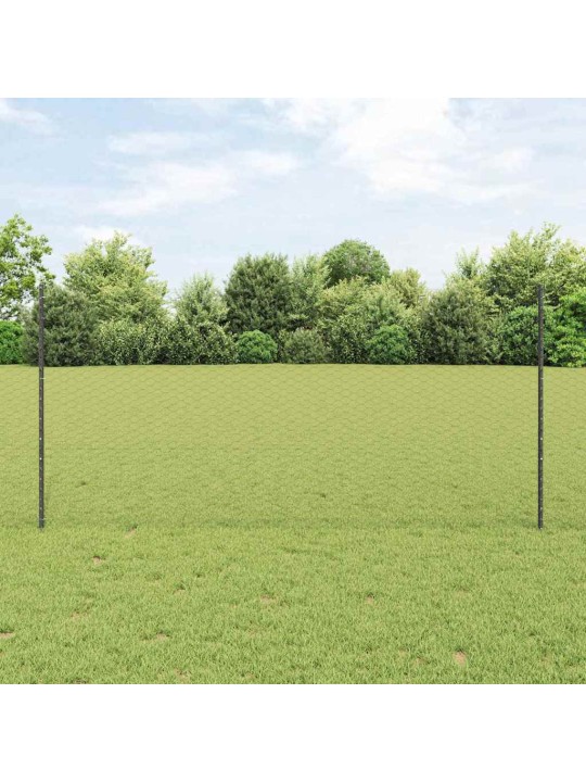 Aed koos postidega hall 1.2 x 10 m teras