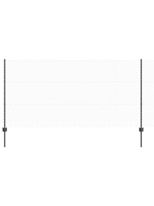 Aed koos postidega hall 1.2 x 10 m teras