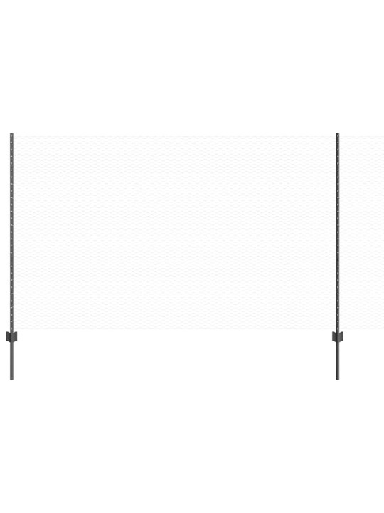 Aed koos postidega hall 1.4 x 10 m teras