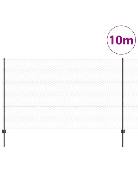 Aed koos postidega hall 1.4 x 10 m teras