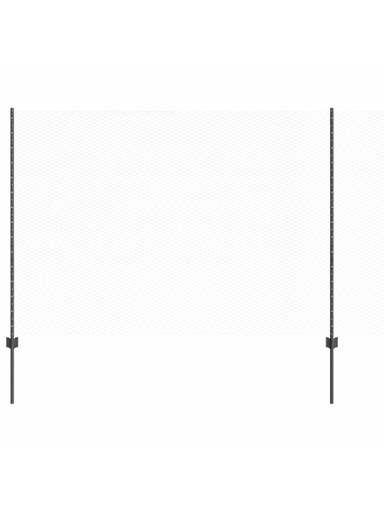 Aed koos postidega hall 1.5 x 10 m teras