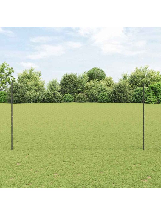 Aed koos postidega hall 1.5 x 10 m teras
