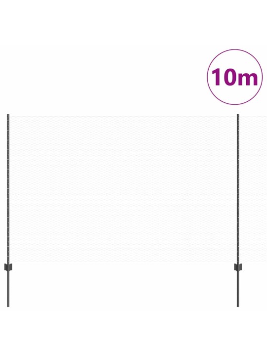 Aed koos postidega hall 1.6 x 10 m teras