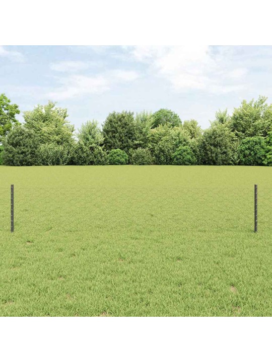 Aed koos postidega hall 0.4 x 25 m teras